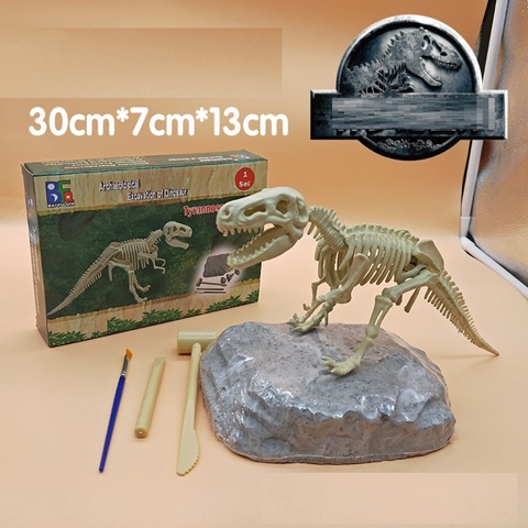 Ring display case front view